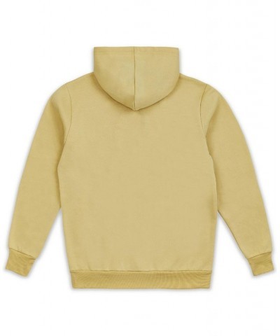 Men's Croyden Pullover Hoodie Tan/Beige $23.03 Sweatshirt